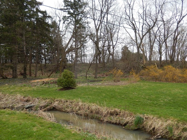 Orchard Compost Area